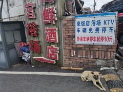 -芦潮港集贸市场