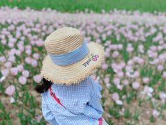 -石家庄市植物园