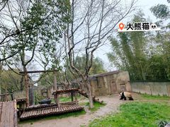 -上海野生动物园