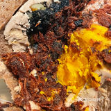 黑芝麻核桃 咸蛋黄 可可奶酪 肉松欧包