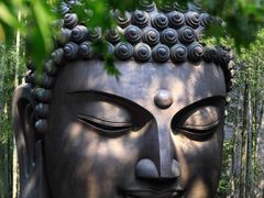 -杭州植物园