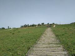 -汉长安城未央宫国家考古遗址公园