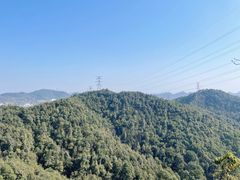 -南山植物园