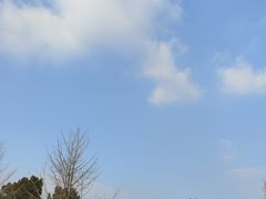 -冶父山国家森林公园