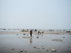 -辽宁团山国家级海洋公园