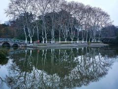 -红梅公园