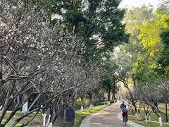 -玉树公园