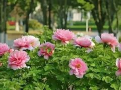 -江南大学(蠡湖校区)