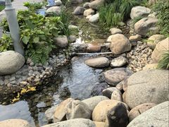 -活水公园