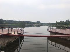 -东郊湿地公园