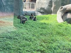 -齐齐哈尔龙沙动植物园