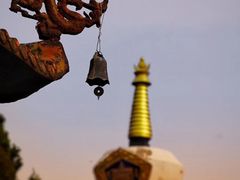 -遵化市禅林寺古银杏风景园