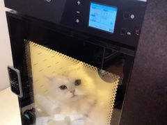 -Pets First伊珊娜洗护·精致美容·家庭式寄养(新会路店)
