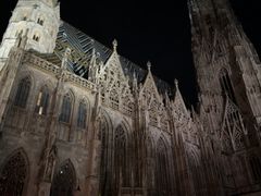 -斯蒂芬主教座堂(Stephansdom)