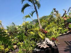 -自然餐厅(Phuket)