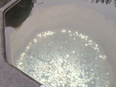 -钱王祠