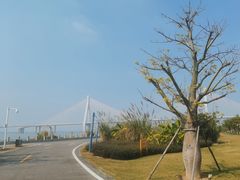 -芒洲湿地公园