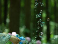 -上海共青森林公园