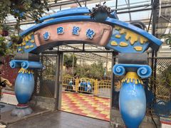 -南宫五洲植物乐园