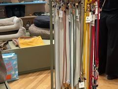 -乐蓬马歇百货公司(Rive Gauche)