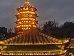 -浙江西子宾馆·牡丹厅