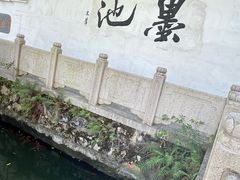 -墨池公园