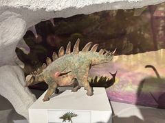 -贵州省地质博物馆