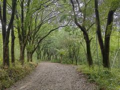 -杭州半山国家森林公园