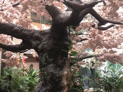 -嘉悦汗蒸时代(曙光路店)
