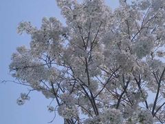 -白沙门生态公园