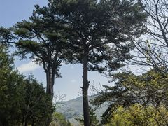 -妙峰山风景名胜区