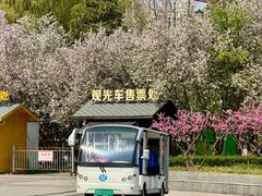 -洛阳市隋唐城遗址植物园