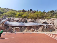 -棒棰岛宾馆景区