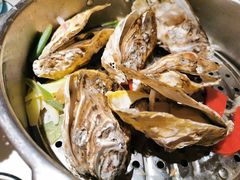 高压锅乳山蚝-蚝翅·海鲜粥·烧烤·宁夏滩羊季(玉米楼店)