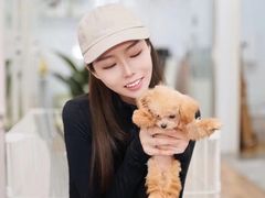 -青奢宠物·青奢猫舍