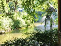 -杭州西溪喜来登度假大酒店
