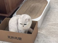 -半岛宠物医院24小时(白果林店)