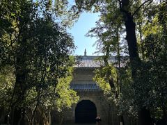 -灵谷景区