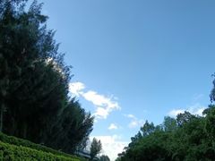 -宝安西湾红树林湿地公园