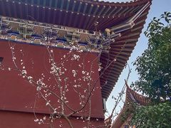 -皇罗禅寺