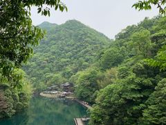 -祁门牯牛降观音堂风景区