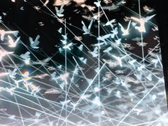 -沈阳奥林匹克体育中心