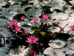 -华南国家植物园-售票处