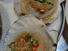 -小海丁