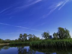 -大兴滨河森林公园