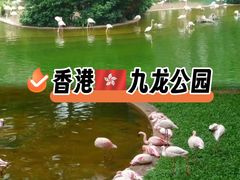 -九龙公园