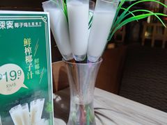 -探窝·竹笙椰子鸡(杨箕店)
