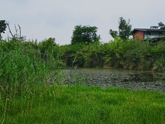 -白鹭湾湿地公园