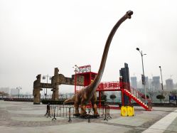 -恐龙探索乐园(磁器口店)