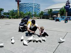 -华夏文旅海洋公园